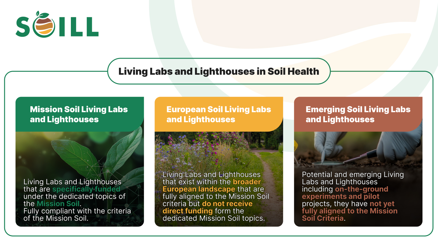 Infographic on differences between Mission, European and Emerging Soil Living Labs and Lighthouses