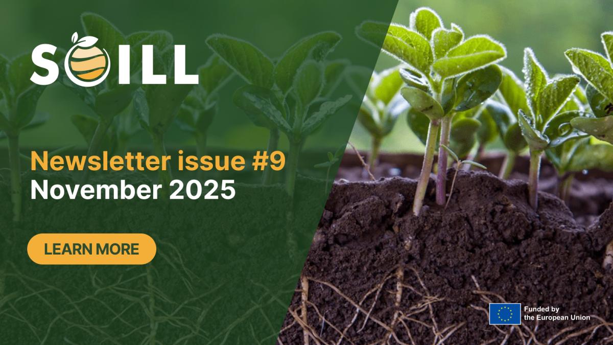 SOILL Policy-oriented Conference on 3 December 2025 in Brussels