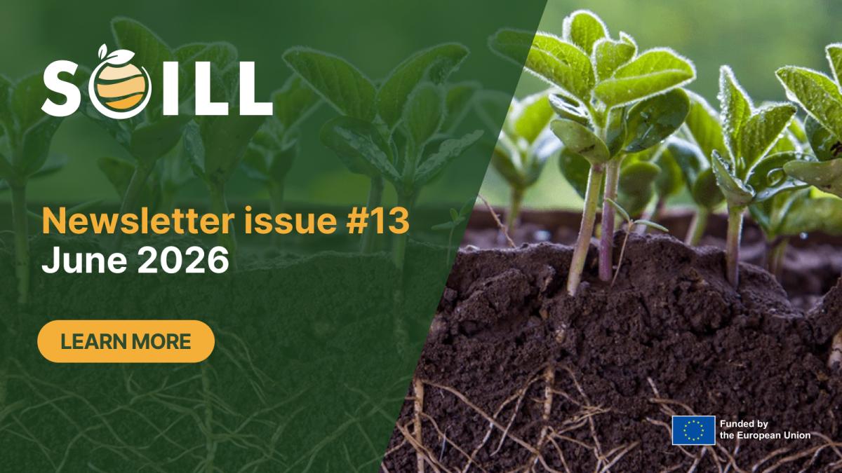 Newsletter issue #13 - June 2026