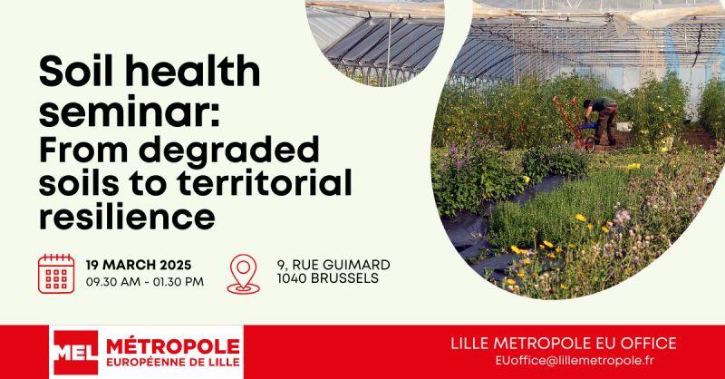 lille metropole