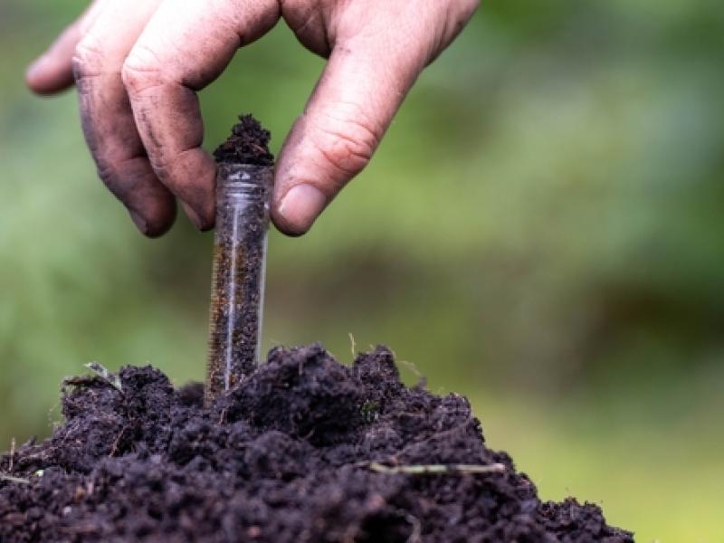 farmer monitoring soil