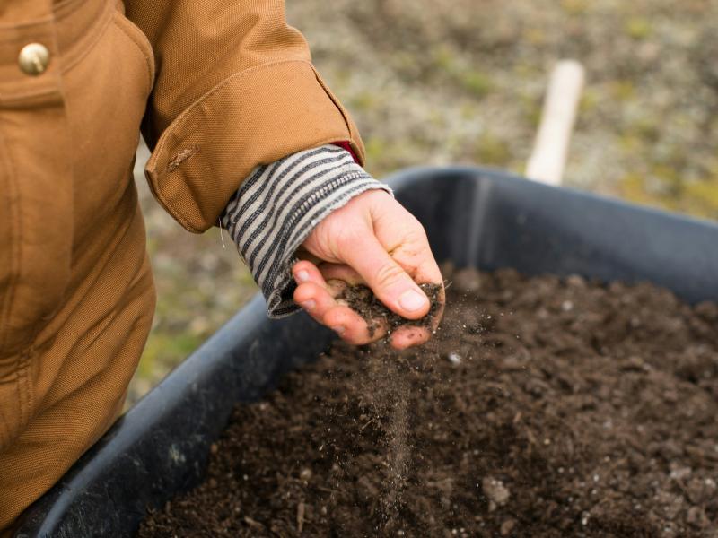 human hand touching soil