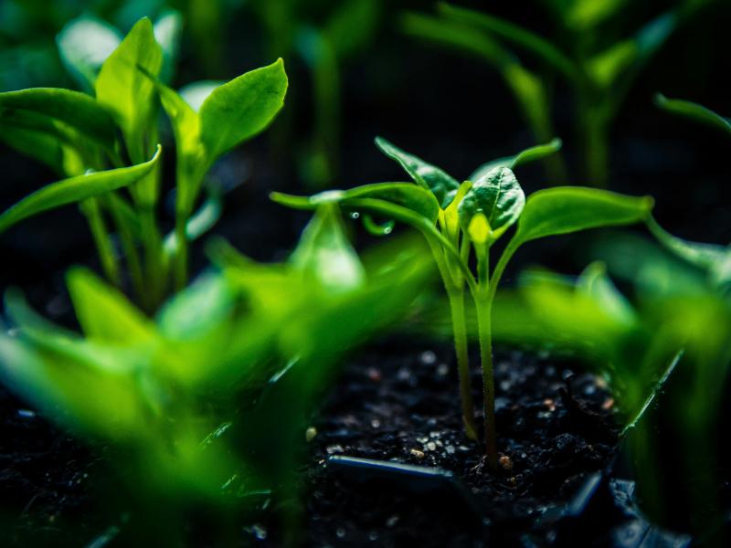 Mission Soil Investment Forum